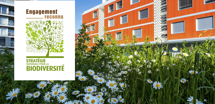 Eikenott Biodivercity